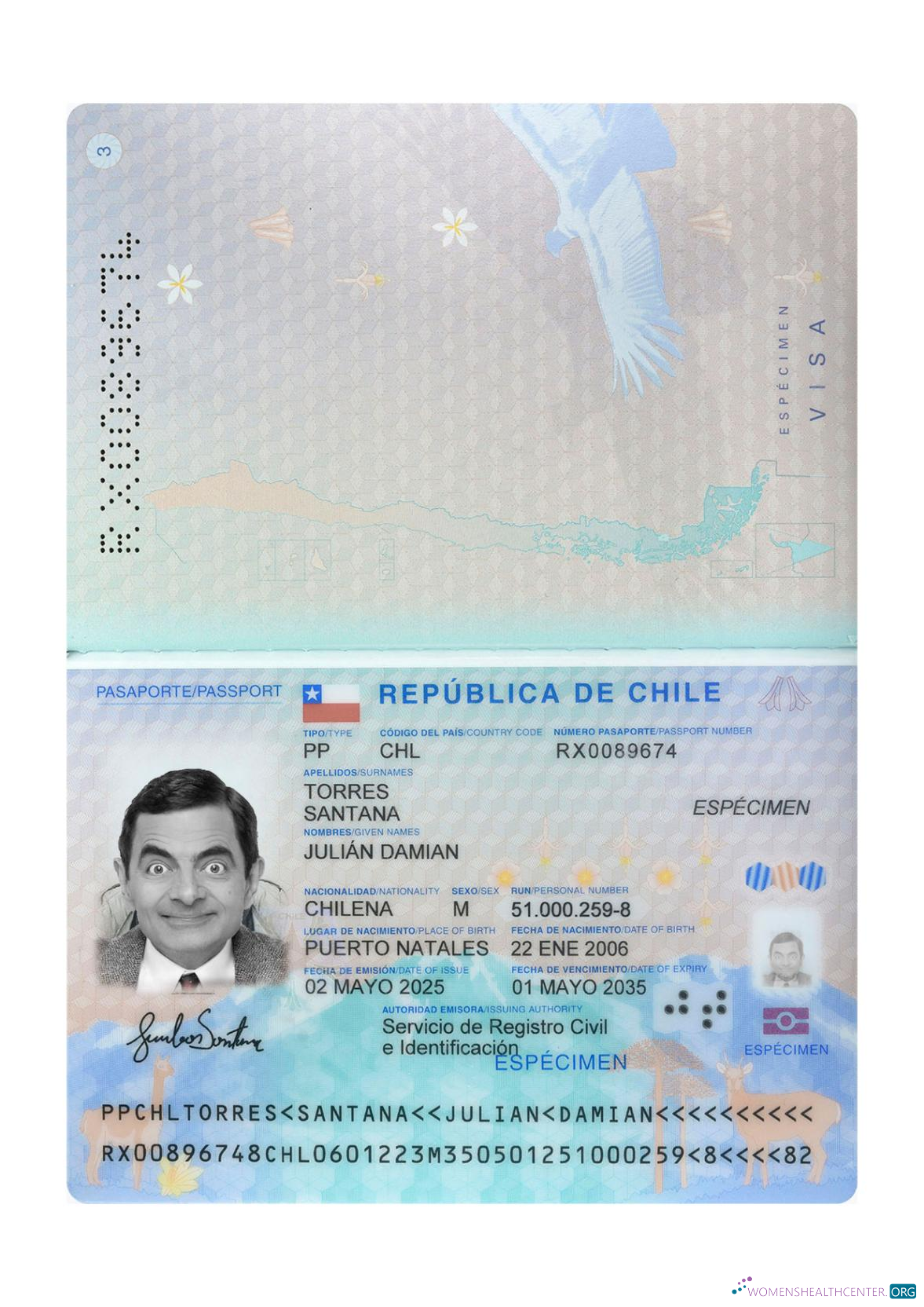Download Chile passport 2025 present Photoshop template